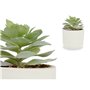 Plante décorative Succulent Plastique 14 x 13,5 x 14 cm (12 Unités) 110,99 €