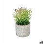 Plante décorative Succulent Bois Plastique 12 x 22 x 12 cm (8 Unités) 101,99 €