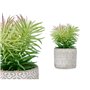 Plante décorative Succulent Bois Plastique 12 x 22 x 12 cm (8 Unités) 101,99 €