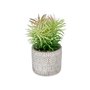 Plante décorative Succulent Bois Plastique 12 x 22 x 12 cm (8 Unités) 101,99 €