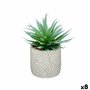 Plante décorative Succulent Bois Plastique 17 x 21 x 17 cm (8 Unités) 106,99 €