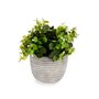 Plante décorative Fleurs Plastique 20 x 20,5 x 20 cm (8 Unités) 115,99 €