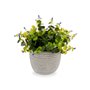 Plante décorative Fleurs Plastique 21 x 20,6 x 21 cm (8 Unités) 117,99 €