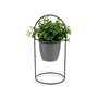 Plante décorative Volets Ronde Métal Plastique 21 x 30 x 21 cm (8 Unités 159,99 €