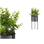 Plante décorative Eucalyptus Métal Plastique 14 x 40 x 14 cm (8 Unités) 189,99 €