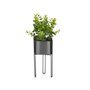 Plante décorative Eucalyptus Métal Plastique 14 x 40 x 14 cm (8 Unités) 189,99 €