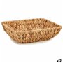 Centre de Table Marron Métal Jacinthe d'eau 30 x 9 x 22 cm (12 Unités) 124,99 €