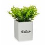 Plante décorative Volets Petit Plastique Ciment 13 x 18 x 13 cm (6 Unité 74,99 €