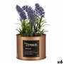 Plante décorative Lavande Cannette Violet Métal Cuivre Vert Plastique 10 67,99 €