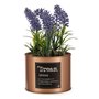 Plante décorative Lavande Cannette Violet Métal Cuivre Vert Plastique 10 67,99 €