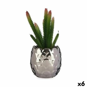 Plante décorative Cactus Céramique Plastique 10 x 20 x 10 cm (6 Unités) 77,99 €