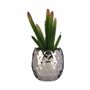 Plante décorative Cactus Céramique Plastique 10 x 20 x 10 cm (6 Unités) 77,99 €