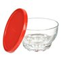 Set de Bols Karaman Rouge Transparent verre Polyéthylène Ø 10,5 cm 275 m 83,99 €