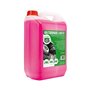 Antigel Motorkit -9º 20% Rose (5 L) 40,99 €