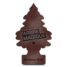 Désodorisant Pour Voiture Arbre Magique Little Trees Cuir 19,99 €