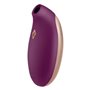 Aspirateur à clitoris S Pleasures Doré Lila 31,99 €