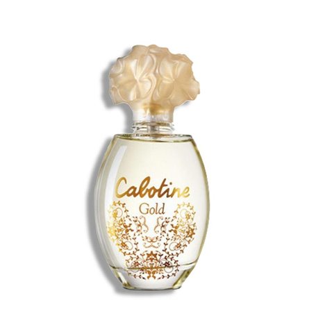 Parfum Femme Gres Gold EDT (100 ml) 28,99 €