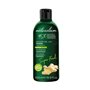 Gel de douche Naturalium Gingembre 500 ml 21,99 €