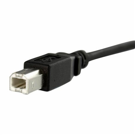 Câble USB Startech USBPNLBFBM1     USB B Noir 19,99 €