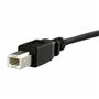 Câble USB Startech USBPNLBFBM1     USB B Noir 19,99 €