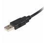 Câble USB A vers USB B Startech USB2HAB2M      Noir 14,99 €