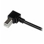 Câble USB A vers USB B Startech USBAB1MR       Noir 16,99 €