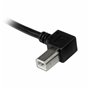 Câble USB A vers USB B Startech USBAB2ML       Noir 16,99 €