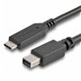 Câble DisplayPort Startech CDP2MDPMM6B Noir 53,99 €