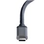 Câble USB-C vers HDMI Startech MST14CD122HD 119,99 €