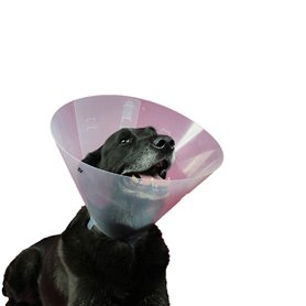 Collier de protection Isabelino pour chiens KVP Betsy (33-40 cm) 59,99 €