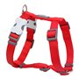 Harnais pour Chien Red Dingo Lisse Rouge 31,99 €