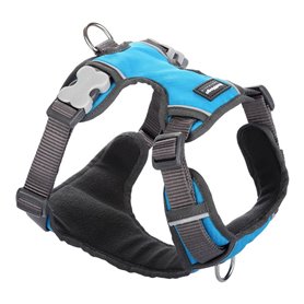 Harnais pour Chien Red Dingo Rembourré Turquoise Taille XS 34,99 €