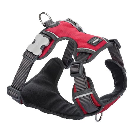 Harnais pour Chien Red Dingo Rembourré Rouge M 41,99 €