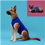 T-shirt de récupération pour animaux de compagnie KVP Bleu 25-33 cm 27,99 €