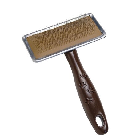 Brosse Gloria Plastique 15,99 €