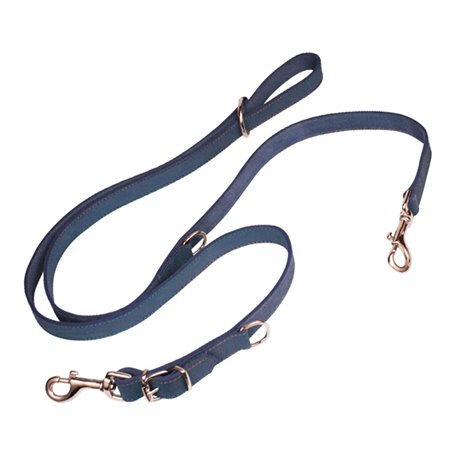 Laisse pour Chien Gloria Oasis Multiple 2.1 x 200 cm Bleu 30,99 €