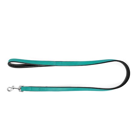 Laisse pour Chien Gloria Turquoise 1.8 x 100 cm 25,99 €