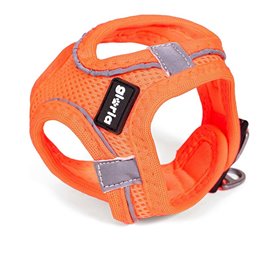 Harnais pour Chien Gloria Air Mesh Trek Star Réglable Orange L (33,4-35  21,99 €