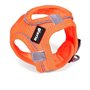 Harnais pour Chien Gloria Air Mesh Trek Star Réglable Orange L (33,4-35  21,99 €