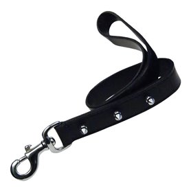 Laisse pour Chien Gloria Noir 60 cm 30,99 €