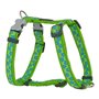 Harnais pour Chien Red Dingo Style Étoile Vert 30-48 cm 24,99 €