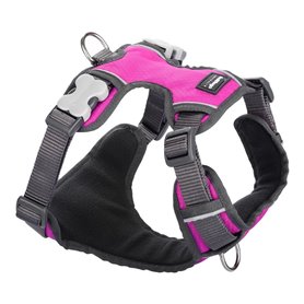 Harnais pour Chien Red Dingo Rembourré Fuchsia Taille XS 34,99 €