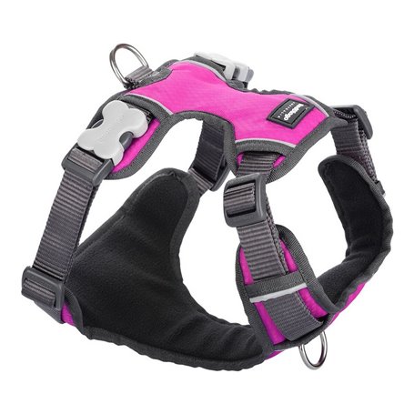 Harnais pour Chien Red Dingo Rembourré Fuchsia Taille XS 34,99 €