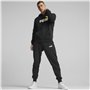 Sweat à capuche homme Puma Essentials Two Tone Noir 71,99 €