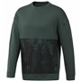 Sweat sans capuche homme Reebok Vert 62,99 €