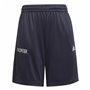 Pantalons de Survêtement pour Enfants Adidas Predator Bleu foncé 43,99 €