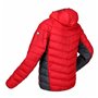 Veste de Sport pour Homme Regatta Harrock Rouge 86,99 €