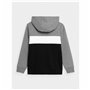 Sweat-shirt Enfant 4F JBLM003 Gris 34,99 €