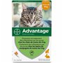 Antiparasites Advantage 44,99 €