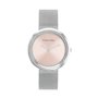 Montre Femme Calvin Klein 25200149 209,99 €